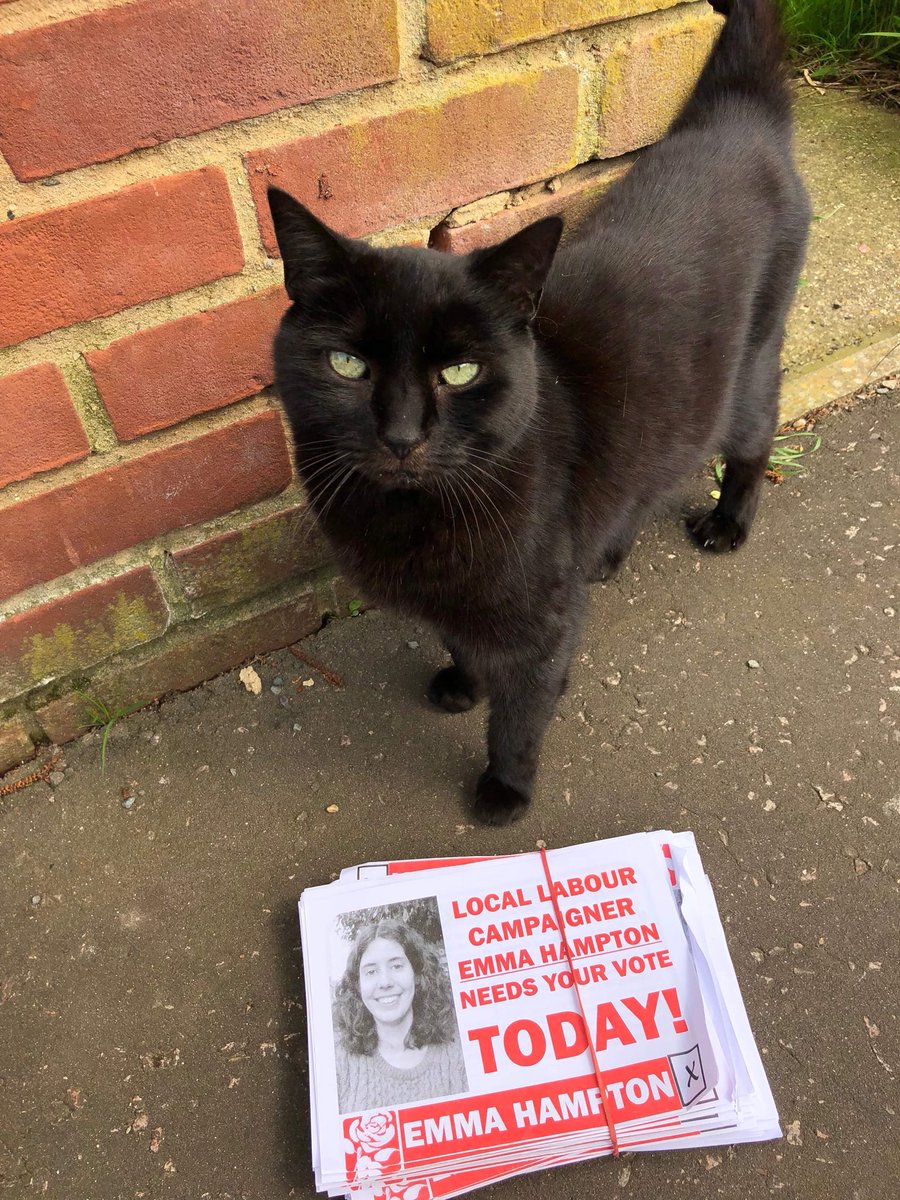 LabourNelson's tweet photo. Huge amount of interest in our leaflets among the #catsofNelson we’ve met so far today. Plenty of time to vote with polling stations open until 10. #VoteLabour https://t.co/FbPzmauue3