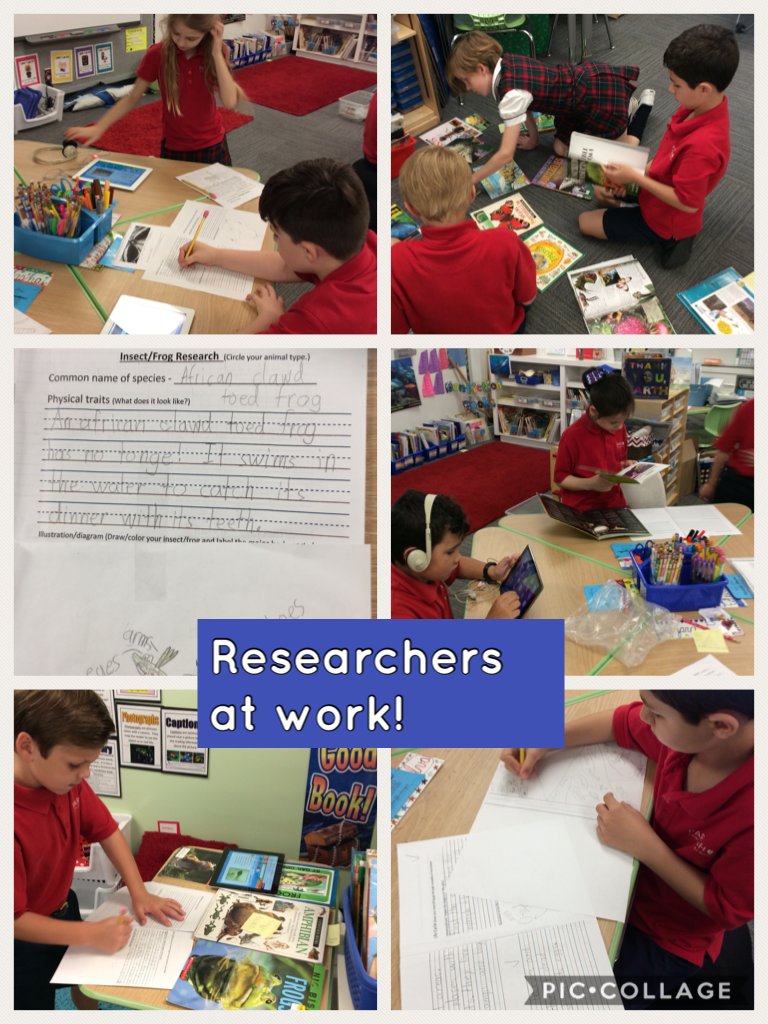 S. Scharffenberger tweet media