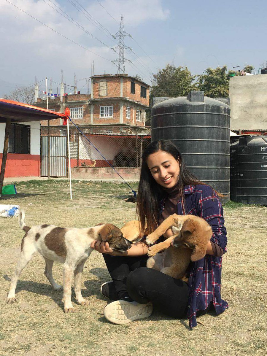 PHNepal's tweet photo. #MeetTheTeam 

"To make change for other animals, we first need to feel our connection with them." Introducing Aachal <3 She is one of the new generations of dog welfare advocates giving us hope for the future. 

https://t.co/OrRrTktCna https://t.co/7bYB8bZOyt