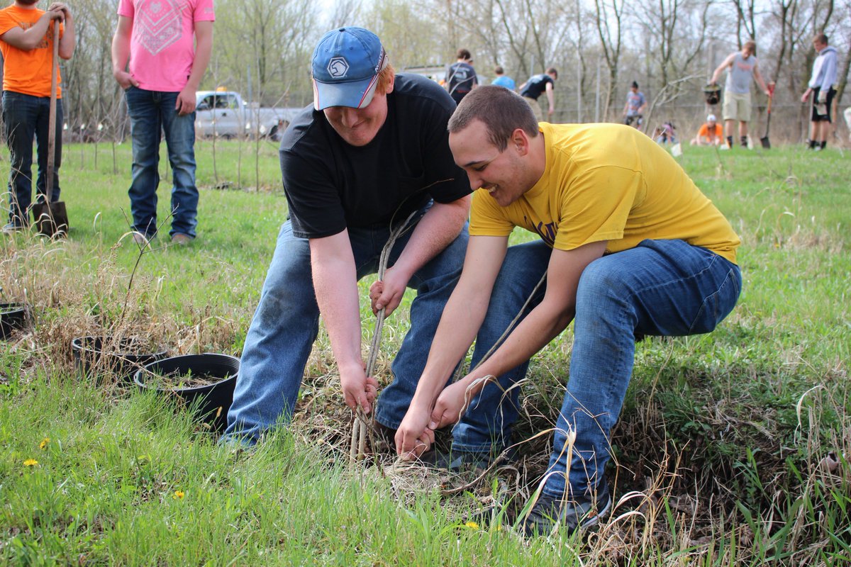 WD Inklings tweet media