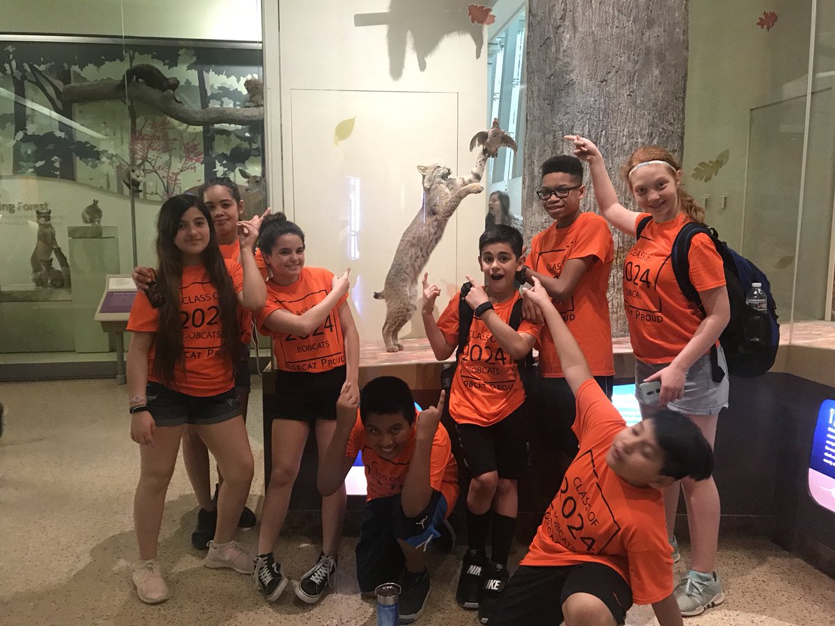 We found the bobcat! #bobcatproud #bobcatsinDC