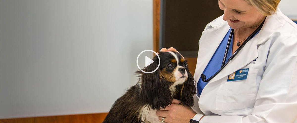Our associates are devoted to making a difference in the lives of pets while advancing the future of veterinary medicine. See what we’re all about. banfield.com/careers