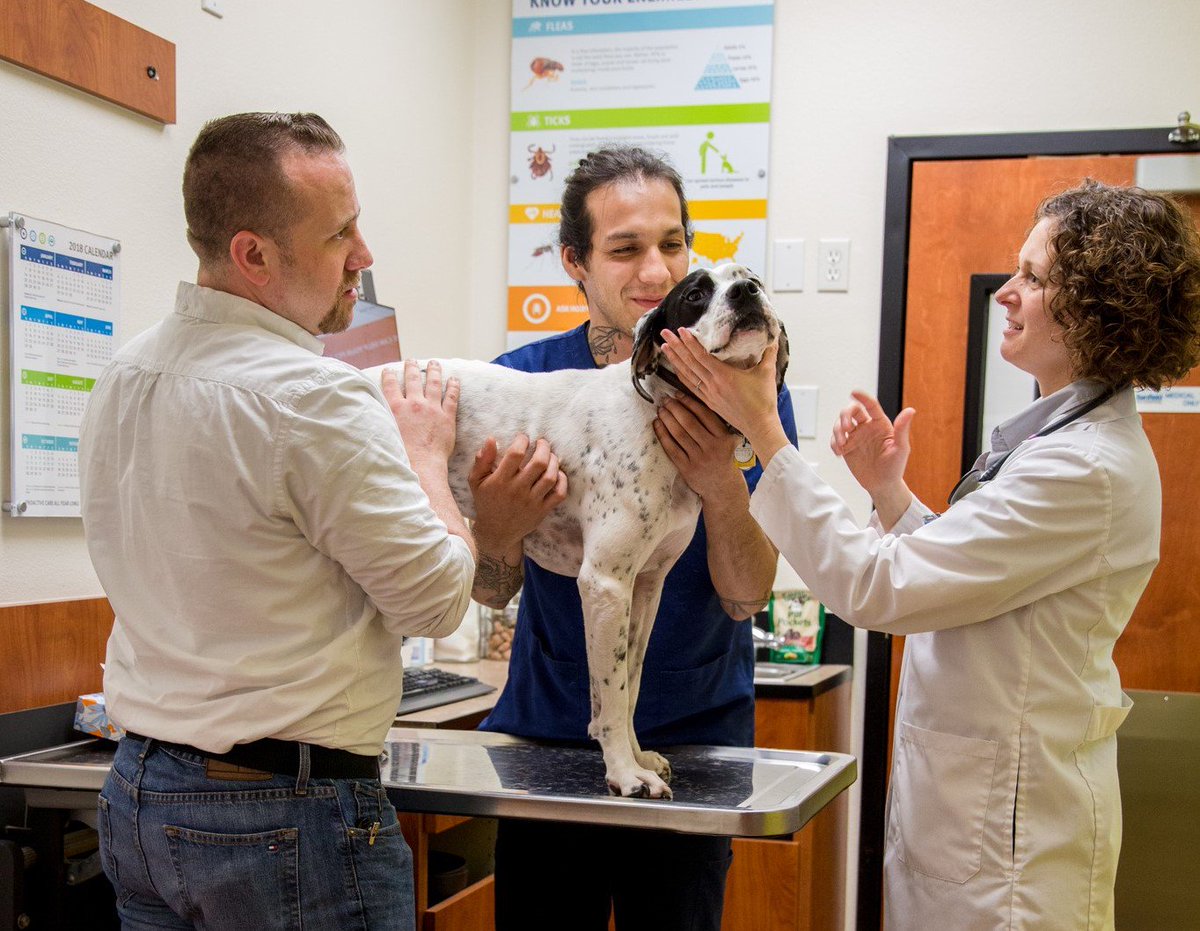 Are you a Veterinary Technician looking for a new career opportunity? <a href="/Banfield/">Banfield Pet Hospital</a> is hiring! Explore our open positions here: jobs.banfield.com