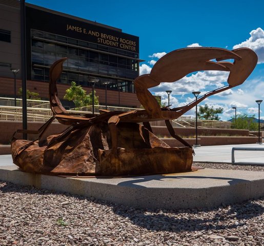 NevadaStateU's tweet photo. BE EXCELLENT! That's exactly what our alumna, Chanelle Lockhart, is with her most recent accomplishment of acceptance to a competitive Denver University program. Congrats, Chanelle, on your well-deserved success! #ScorpionExcellence #NSCAlumni #NSCAlumni https://t.co/g3DmVuDpUK