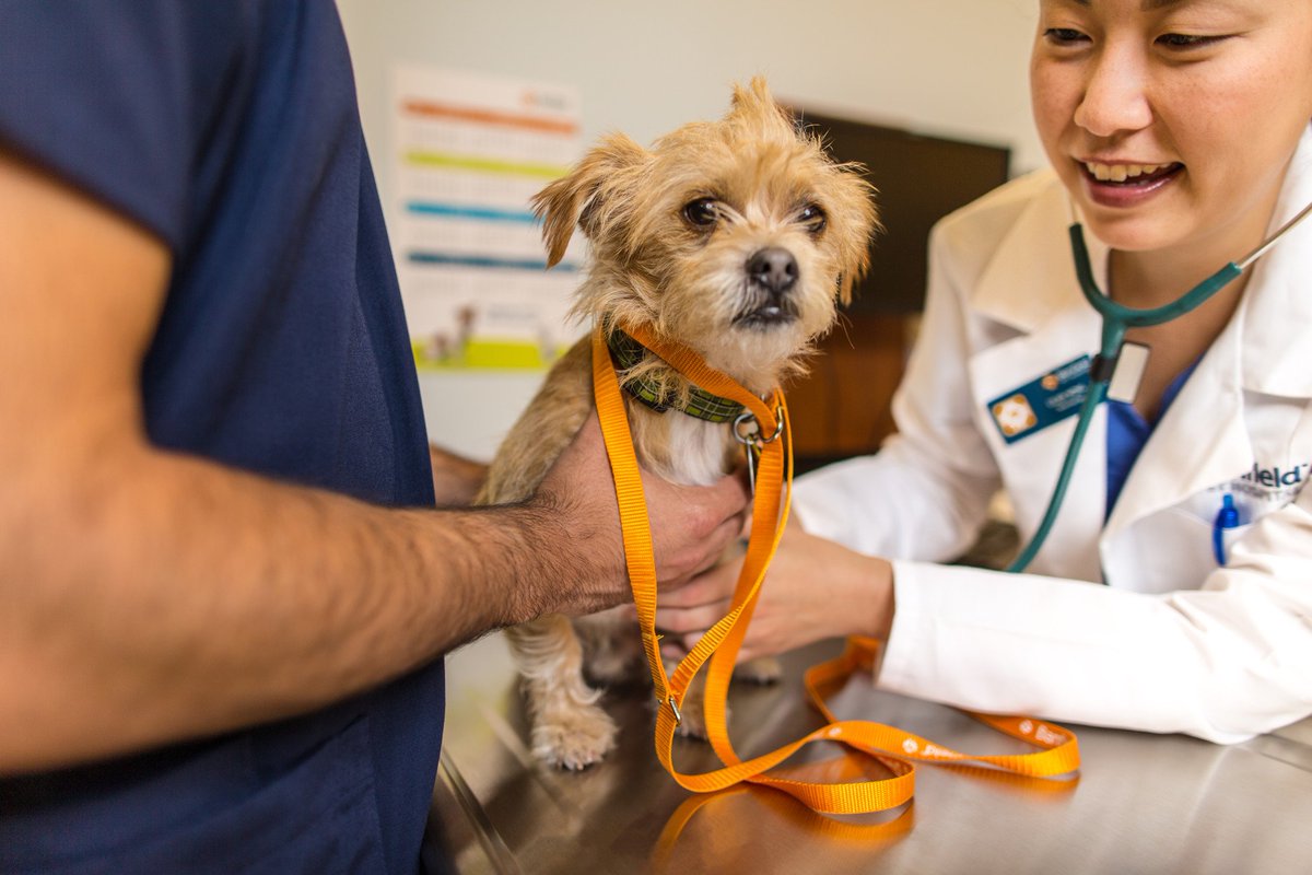 At <a href="/Banfield/">Banfield Pet Hospital</a> our commitment to the continuous improvement of our anesthesia standards and protocols supports our belief that we can positively impact the lives of pets through the delivery of high-quality veterinary care. Learn more here: ow.ly/Opjg1012DkB
