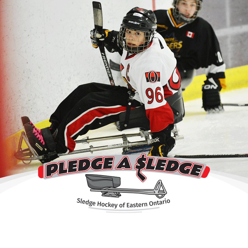 AcartComm's tweet photo. #Ottawa #hockey fans: Help give the gift of sport to young, local, para-athletes and support their dreams to compete in the @CDNParalympics. Pledge a sledge for Sledge Hockey of Eastern Ontario to give everyone a chance to play! 

PLEASE DONATE NOW -> https://t.co/vUOEuyzFYm https://t.co/ks2w122QQD