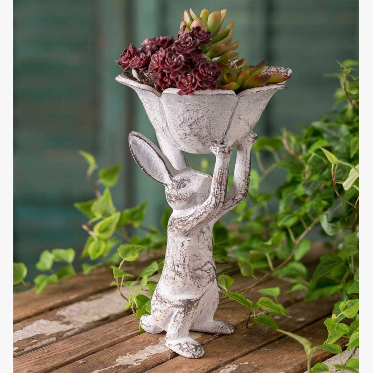 snappymisty's tweet photo. #birdlovers #outsidedecor #birdfeeder #Garden #gardenlovers #outdoors #homedecor #HomeSweetHome #snapwithme https://t.co/xpGLltfMy0