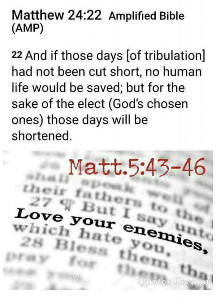 N_ata6ha's tweet photo. @MarkACollett This is tribulation time sweetheart and we are all going to be tested (#Rev3vers10)... Jesus said the peace He offers, the world cannot give ...are we then all going to suffer as Christ 
did? 🤔
#LoveYourEnemies #Matt5verse43to46 https://t.co/yg6uF1gODe