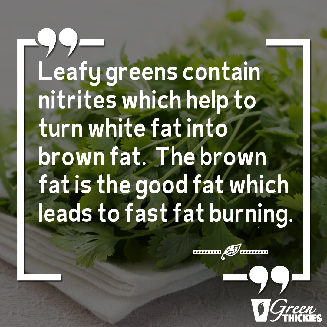 greenthickies's tweet photo. Love yourself. Love Leafy Greens! https://t.co/qHc2n3JXnA