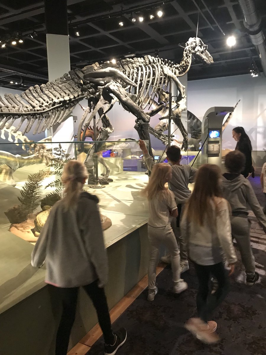 Jossanna's tweet photo. Dagens arbetsplats! Naturhistoriska och cosmonova med klass #2brun! #Runbacka #kultur #abeautifulplanet https://t.co/C5aTTyyAf1