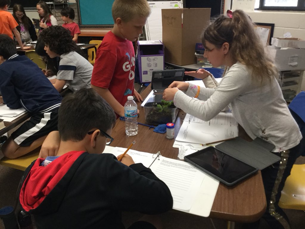 Mrs. Sellers' Class tweet media