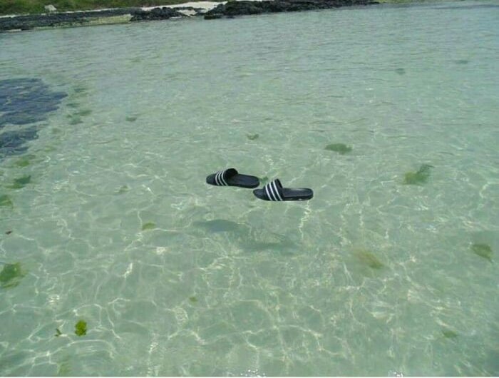 ChockieMokoto's tweet photo. John Cena walking on water 😅. https://t.co/vXhXJ5RZb3