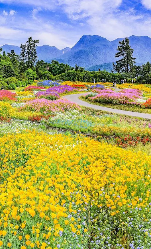 AhmadSanusi's tweet image. Beautiful spring

Kuju Flower Park - Tketa, Oita, Japan

#MashaAllah #SubhanAllah #beautifulspring #asbhmsia
~
ahmad-sanusi-husain.com