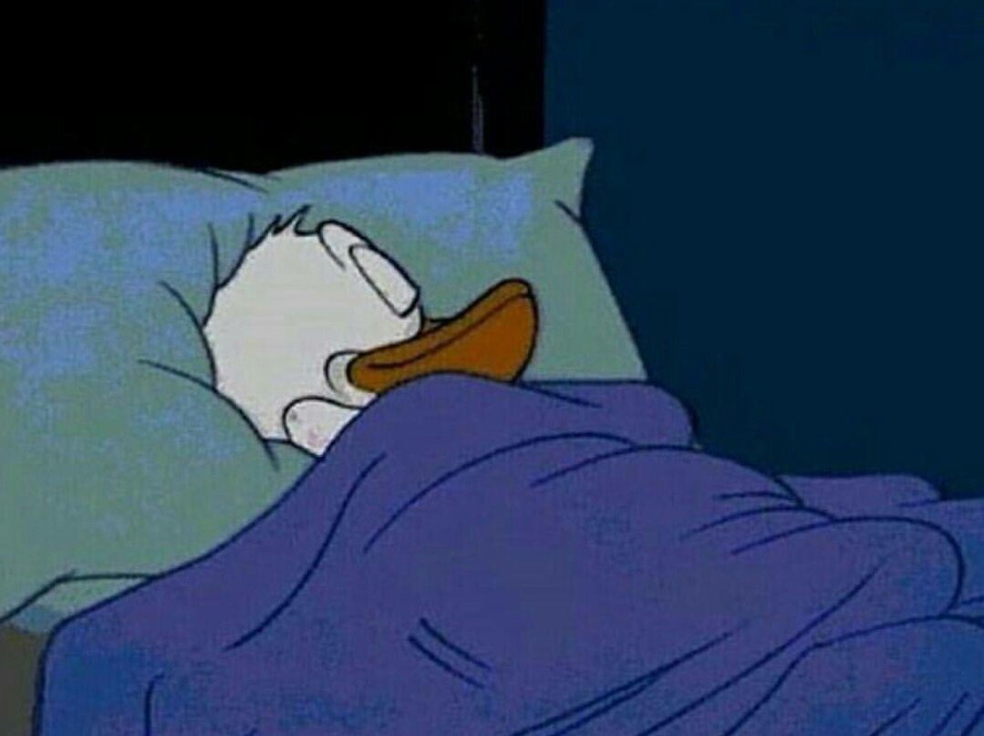 elcosodelapizza's tweet photo. Yo arriesgando mi carrera y mi futuro por otros 15 minutitos para dormir. https://t.co/o1vYrZY9sy