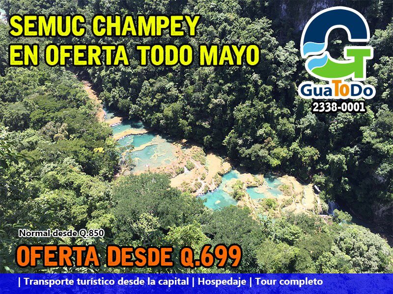 guatodo tweet picture
