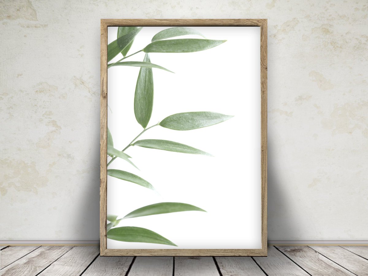 printpunkstudio's tweet photo. Am so in love with our new Downloadable Print. 
Get it now :-)
#leafart #artprint #wallart #botanicalprint #printableart #estyshop#etsyseller #buybritish #gorgeousart #homedecor #twitterart

https://t.co/UPqnrqxayu https://t.co/rDxGhD9vNU
