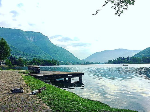 Natascia_Pane's tweet photo. Delle tante palestre in cui mi sono allenata, questa è senza dubbio la migliore! 🌊😍😉
.
.
.
.
.
#freeletics #freeathlete #freeleticswoman #running #runningtime #workoutoutdoors #mylake #myhome #endinelake #lagodendine #sanfeliceallago #natasciapane https://t.co/wEVw4HVdhw https://t.co/efdqgwlNKi