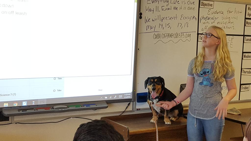 cms7black's tweet photo. Genius hour presentation 4h Dog @cms7black @chisholmpride #placetobe373 https://t.co/YSQ6nVWErf