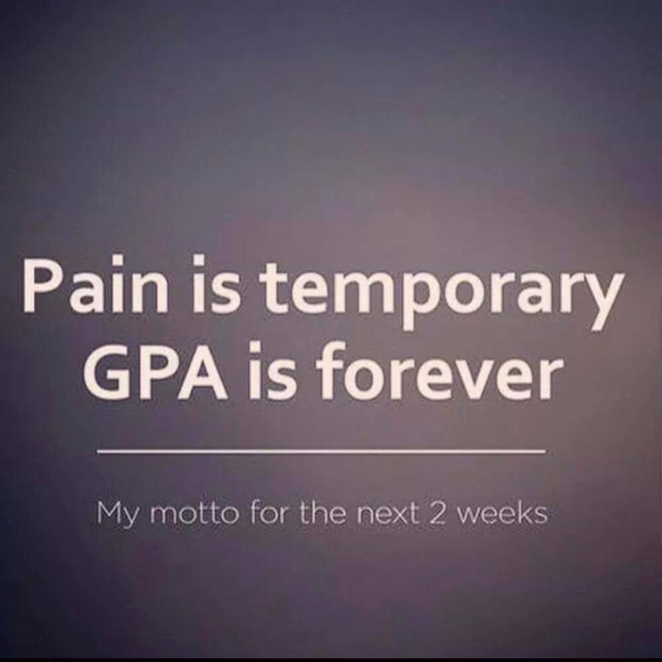 SDSU_INTL's tweet photo. It's almost over! Hang in there #Aztecs. #FinalsWeek https://t.co/qO1iYHW71d