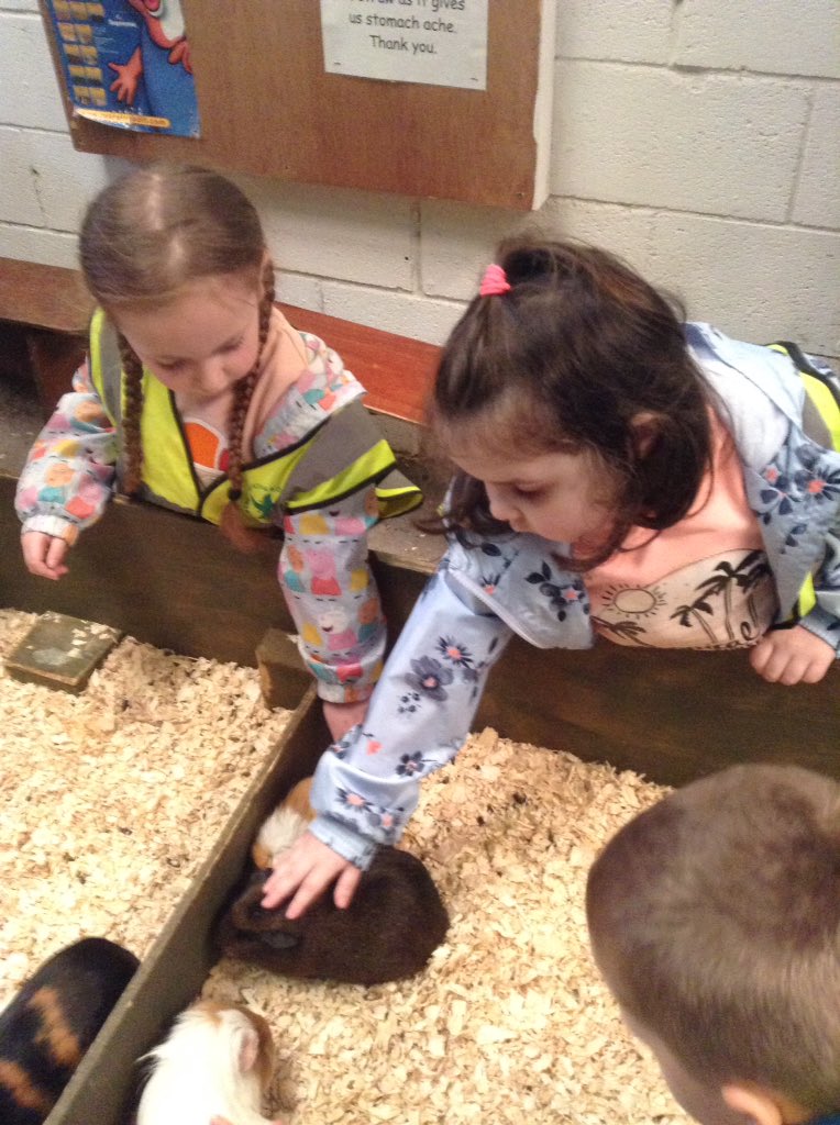 nursery_spring's tweet image. We had so much fun at Farmer Teds today. We enjoyed grooming ponies, going on a bumpy tractor ride, climbing and sliding on an indoor climbing frame, stroking guinea pigs, ferrets, cockroaches, snakes and frogs. #swhdaysout