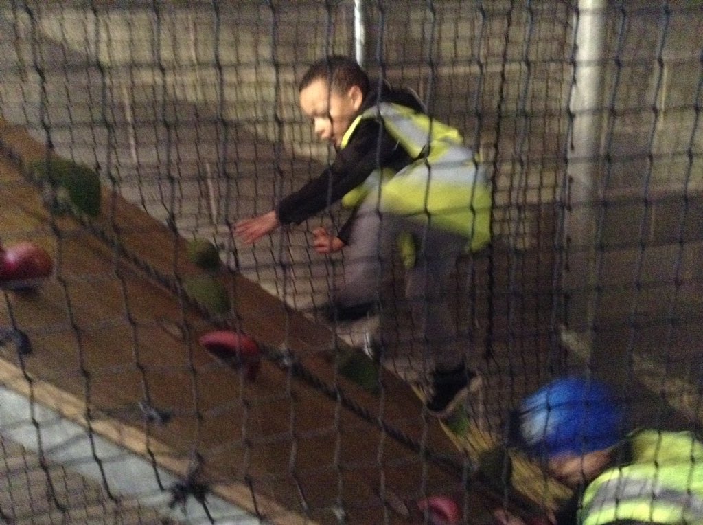 nursery_spring's tweet image. We had so much fun at Farmer Teds today. We enjoyed grooming ponies, going on a bumpy tractor ride, climbing and sliding on an indoor climbing frame, stroking guinea pigs, ferrets, cockroaches, snakes and frogs. #swhdaysout