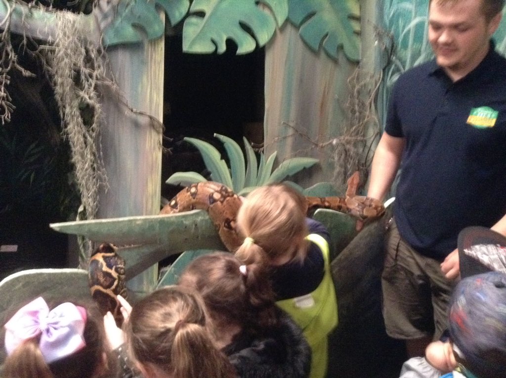 nursery_spring's tweet image. We had so much fun at Farmer Teds today. We enjoyed grooming ponies, going on a bumpy tractor ride, climbing and sliding on an indoor climbing frame, stroking guinea pigs, ferrets, cockroaches, snakes and frogs. #swhdaysout