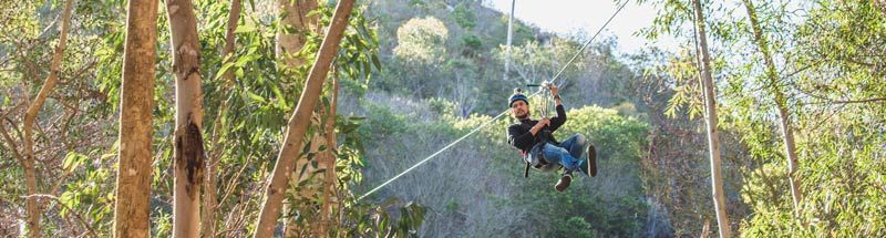 HermanusOnline's tweet photo. Outdoor #Advenrue Fun for children visiting #Hermanus. #Quadbike and #zipline #familyfun - with @SAForestAdv in #Hermanus
https://t.co/4jfRy0J7dT
#hermanus #activities #kiddiesfun #familytravel https://t.co/C1l4BjNuji