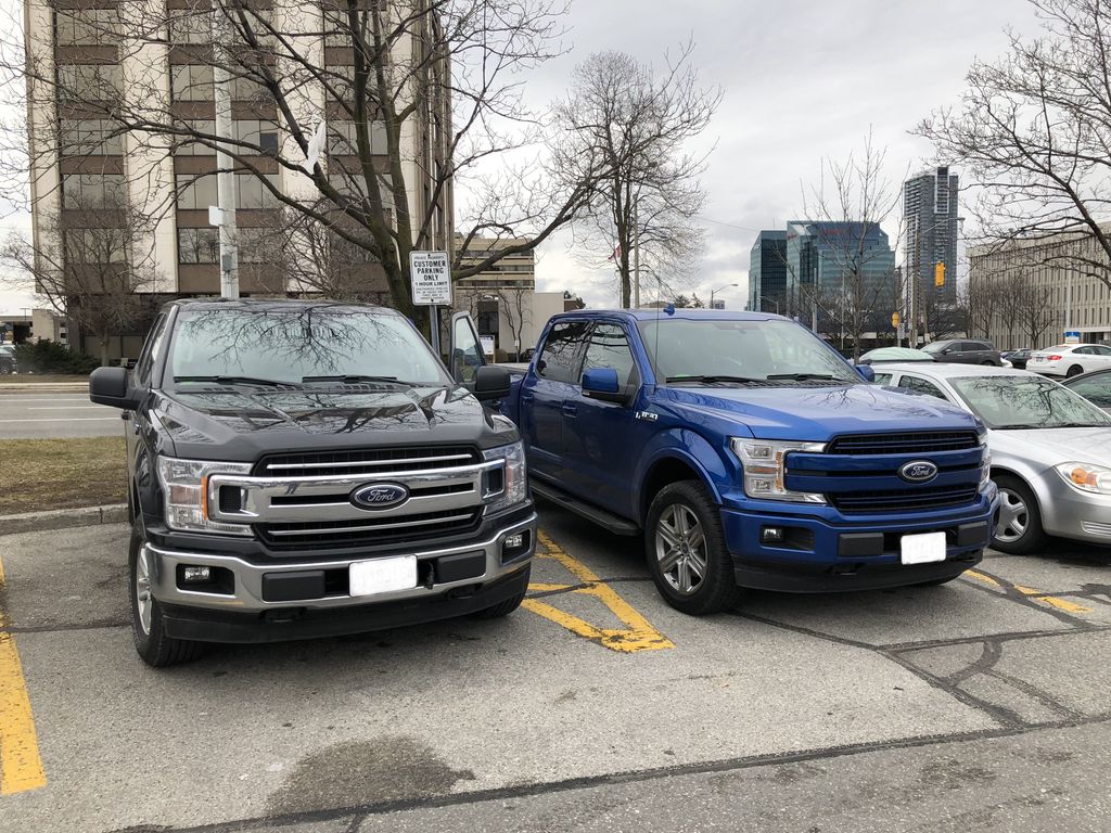 New additions to our fleet ...
#ford #black #blue #Torontopestcontrol #trucks #pestcontrol #fordtruck #Torontolife #the6ix #Torontoadventure #torontoigers #Torontocanada #torontocity #torontoneighbourhood #fordlife