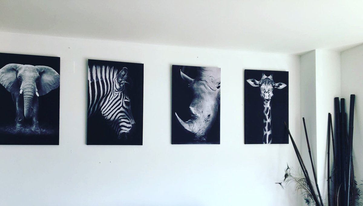 marcsgalmes's tweet photo. Teles d'una clienta montades en bastidor. 💛 #decoracion https://t.co/GQcSssKxwd
