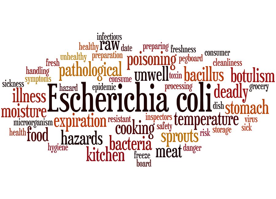 What You Need to Know About E. Coli dlvr.it/QRg85R