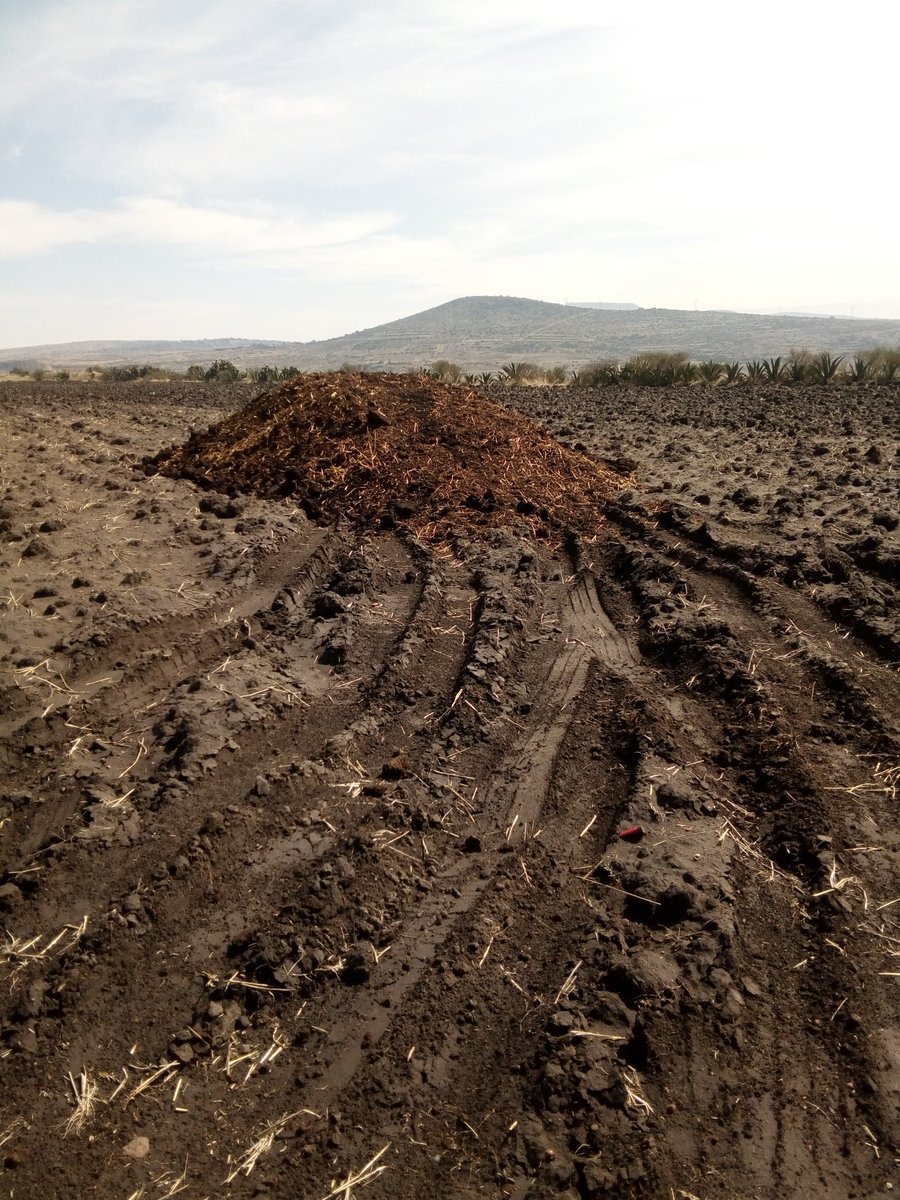 reyes_norberta's tweet photo. #SagarpaTrabajando
#CaderPachuca
#VerificacionDeCampo
#SanPedroHuaquilpan https://t.co/IqsOZyXR4j