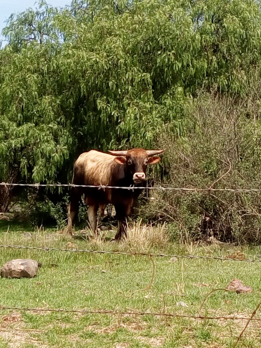 reyes_norberta's tweet photo. #SagarpaTrabajando
#CaderPachuca
#VerificacionDeCampo
#SanPedroHuaquilpan https://t.co/IqsOZyXR4j