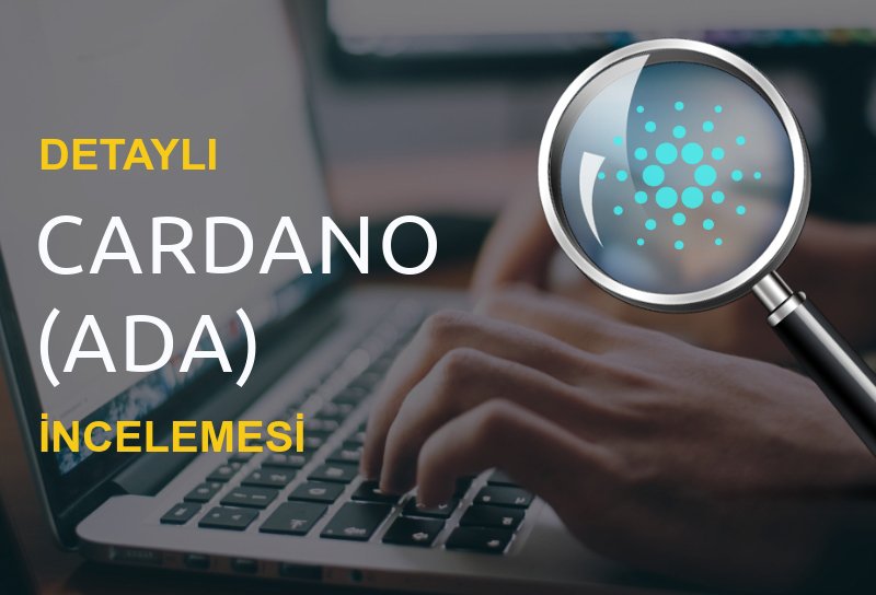 kriptorehberim's tweet photo. Detaylı Cardano (ADA) İncelemesi

https://t.co/Fnw2sbpB8h https://t.co/E5MO8zTER2
