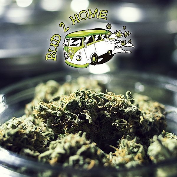 bud2home's tweet photo. Breakfast is ready. ✌️
.
.
.
.
.
.
.
.
.
#Bud2Home #PassTheDuby #CanadaMMJ  #DankAF #CannabisCommunity #Cannabis #HighTimes #MMJPatients #Weednerdnation #WeShouldSmoke #CannabisHeals #CannabisIsMedicine #StonerFamily #StonersOfIG #WeedSocial #Weed420Feed #Weedstagram420 #Sto… https://t.co/22AVUoM3xj