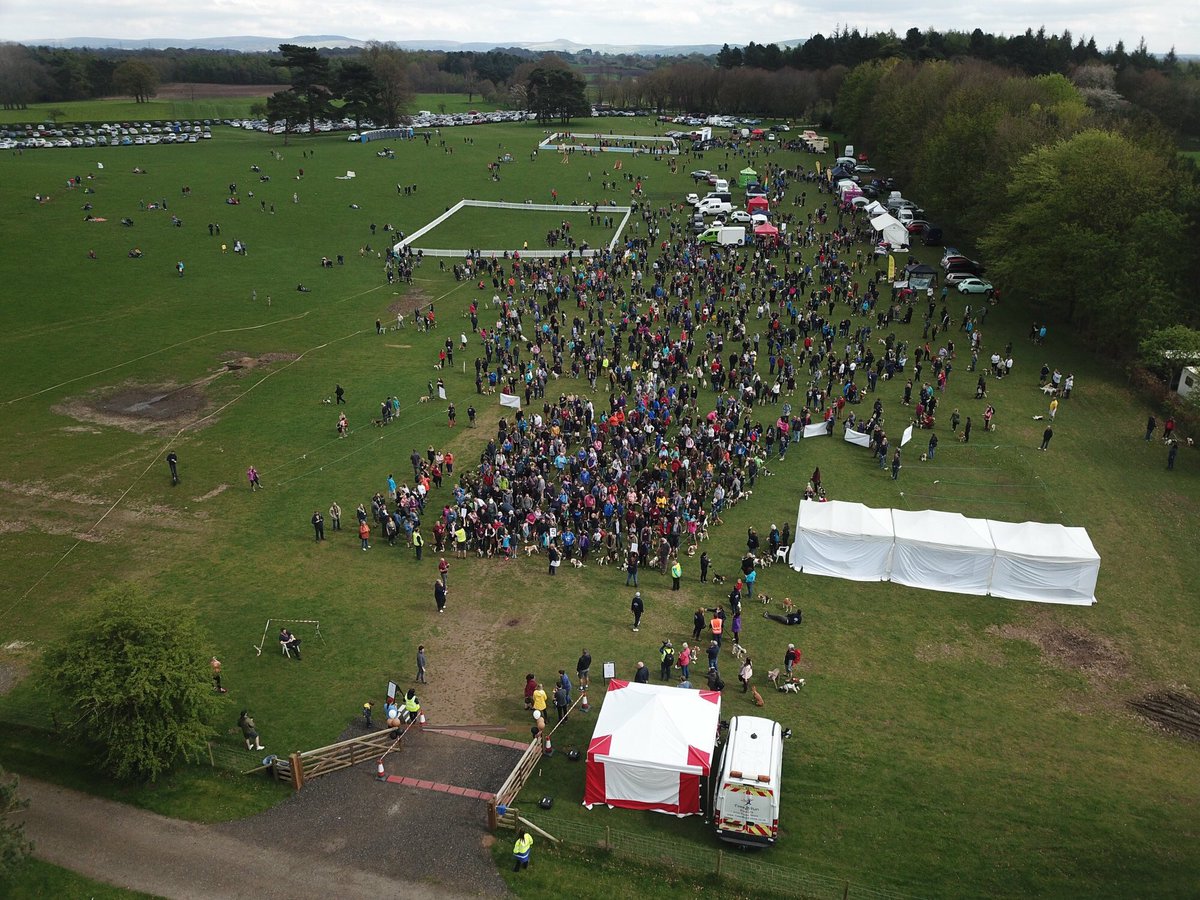 Bauwowworld's tweet photo. #Beaglelandia #BWR2 @CapesthorneHall with @MBC_beagleclub what a day!!! https://t.co/8KnsD2Fjdd
