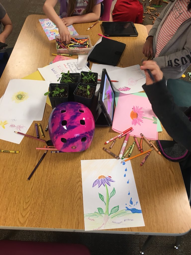 GibbyShane's tweet photo. When thunderstorms keep you from planting beautiful flowers @Templeton_MCCSC ....#NativePlantProject https://t.co/DVJ8Gr06XA