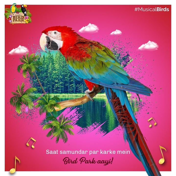 EWBirdPark's tweet photo. A great chance to meet exotic birds around the world. Book your tickets to EsselWorld Bird Park today: https://t.co/POSjbM8umr

#MusicalBirds #Birds #Bollywood #Songs https://t.co/NCYeEV3o5b