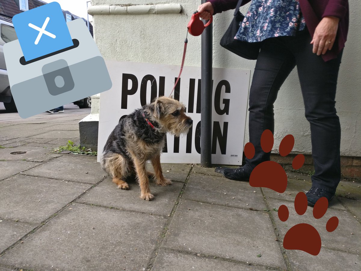 MattyCornwell's tweet photo. I tried my best... But he just wouldn't sit still! #dogsatpollingstations https://t.co/d2Xc1jqEwh