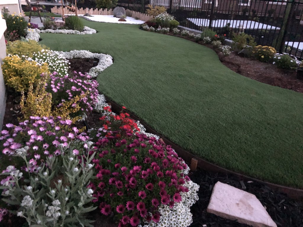 VenusDugayon's tweet photo. Happy to wake up to this view each day! Hubby surely has a green thumb. I love spring! https://t.co/QUamy54Pa1