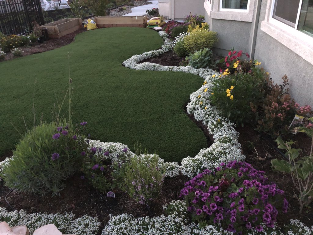 VenusDugayon's tweet photo. Happy to wake up to this view each day! Hubby surely has a green thumb. I love spring! https://t.co/QUamy54Pa1