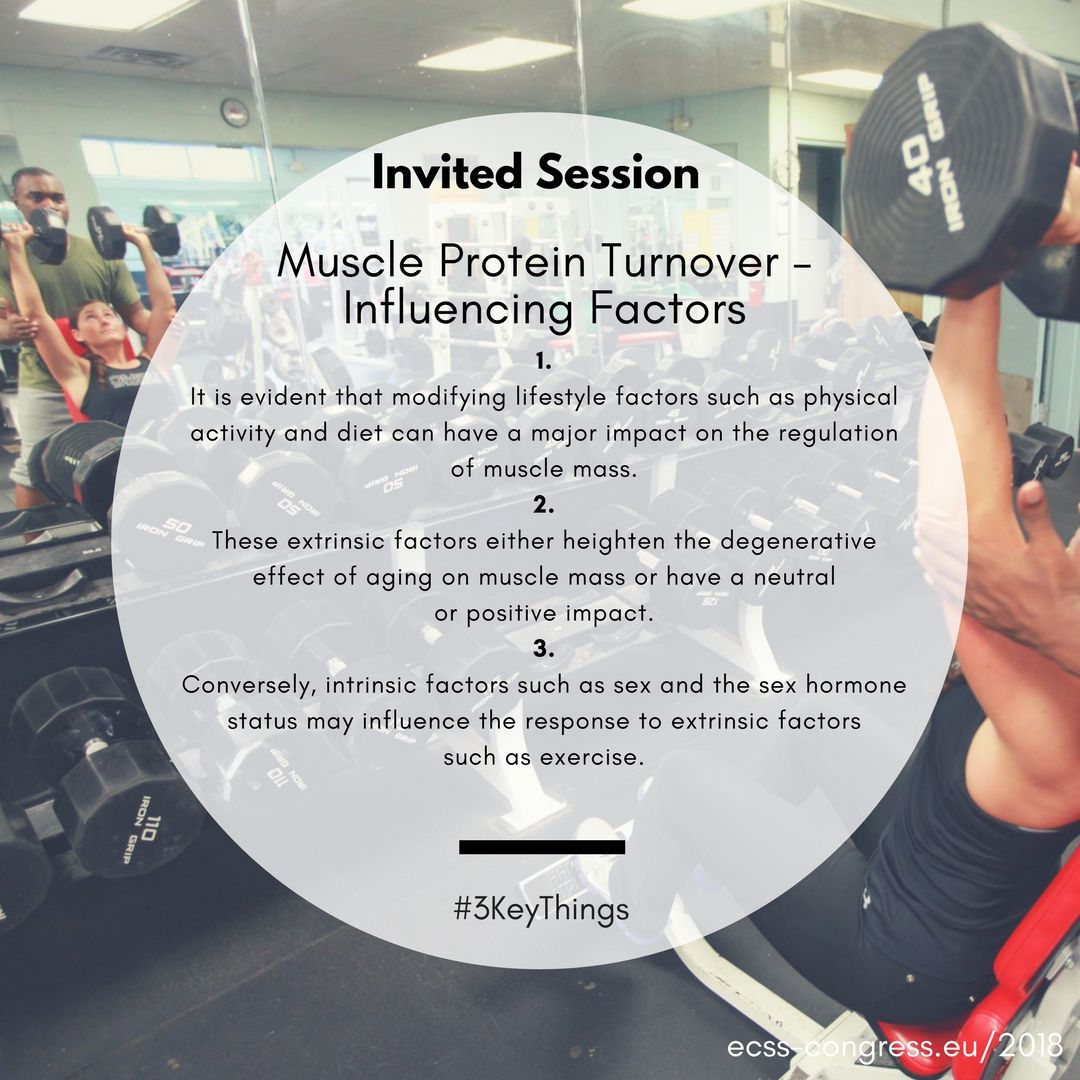 ECSSCongress's tweet photo. Invited Session "Muscle Protein Turnover โ Influencing Factors" #ECSS2018 #3KeyThings and introduction to the session: https://t.co/G2uZch8b1T #muscles #protein #PhysicalActivity #diet #gender @mackinprof https://t.co/hL1BLJBnN9