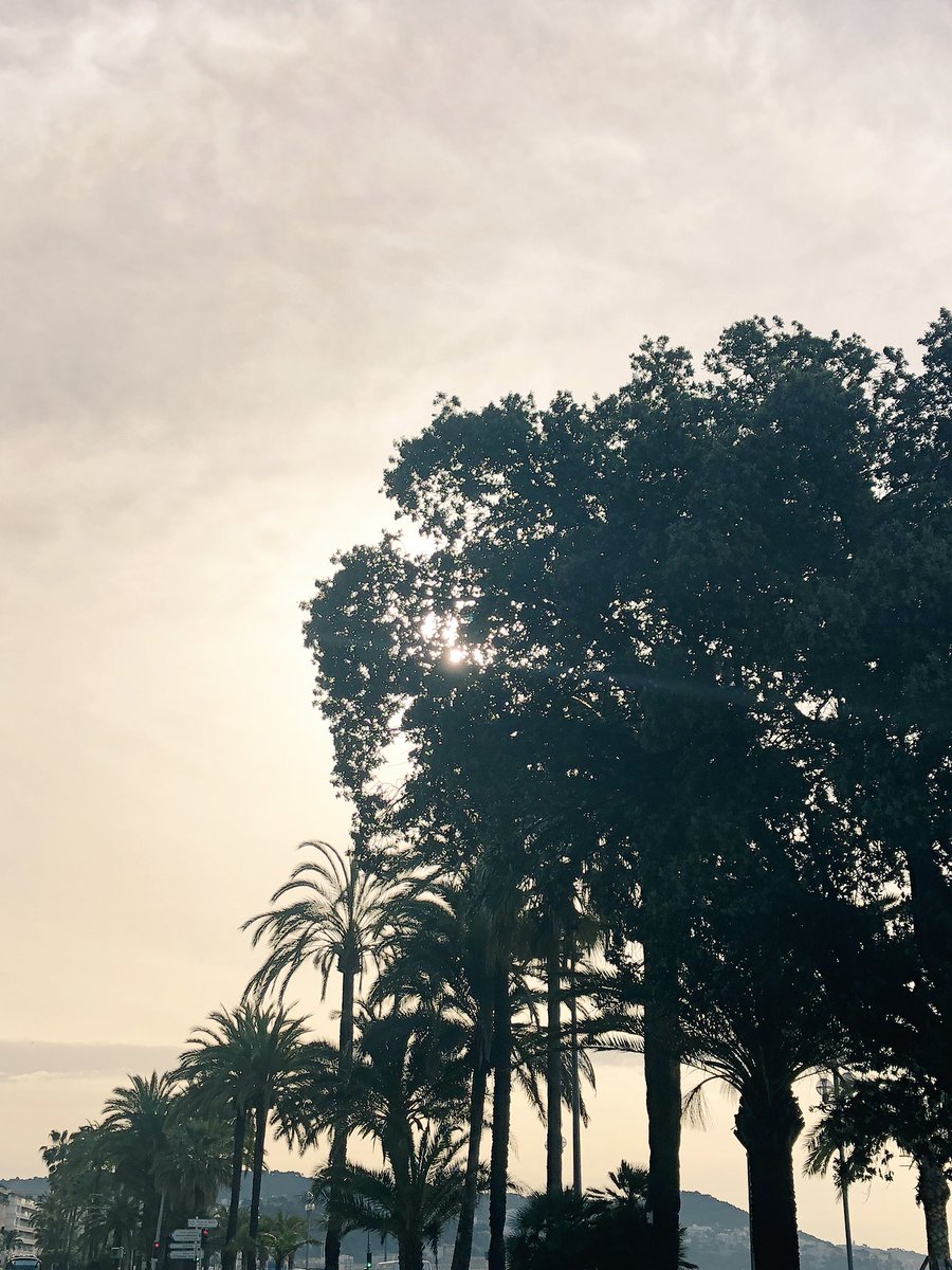 julie_antonini's tweet photo. Mr. ☀️ jour à Cache-cache pour ce #JeudiPhoto ... quand est ce qu’on passe à 1-2-3 soleil ?
#Cotedazurfrance #ILoveNice #promenadedesanglais #whenissummercoming? https://t.co/ibLCx5lb2a