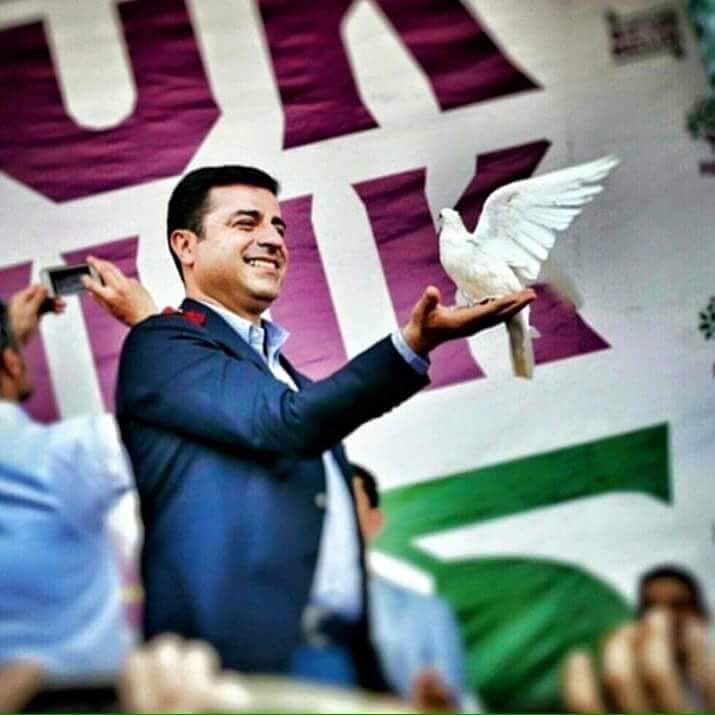 Ferhattunk1's tweet photo. #SenleDeğişir https://t.co/aIucnjyks0