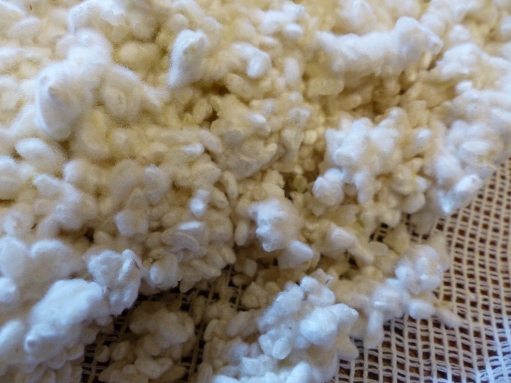 MacrobioticShop's tweet photo. Making Fresh Koji for Miso - https://t.co/7RnqXqHcIS https://t.co/hWggWeptFa