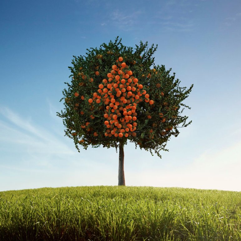 verdesian's tweet photo. You probably know #phosphite encourages plant growth, but #DYK it's more readily available to plants than #phosphate fertilizers? Learn more about phosphite and the science behind Verdesian's nutrient use efficiency here: https://t.co/Rb5Hn7HFka https://t.co/siZ6ZrPqRl