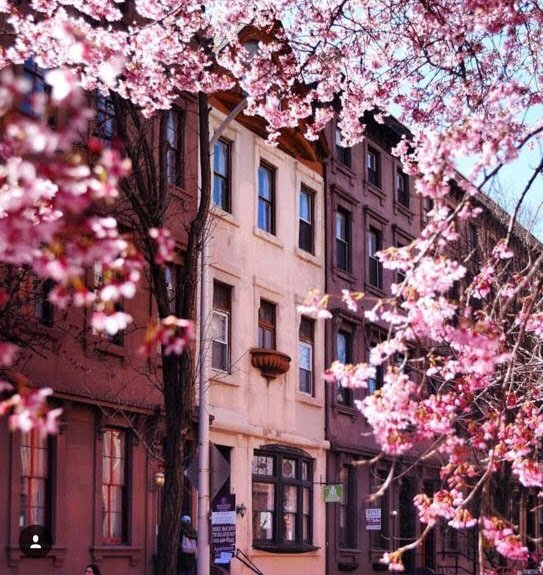 MyPGWCommunity's tweet photo. Philly's #BeautifulBlocks really show off in spring. How could we not share this gorgeous photo by @zach.boyers on Instagram? To submit your stunning photos of #Philly blocks, tweet them using #PGWBB and be sure to tag us @MyPGWCommunity! #Rittenhouse https://t.co/HJQdioSP3w