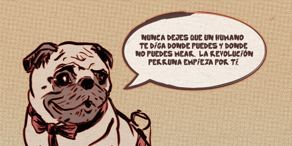 Splash Squad (@perretesmeones) on Twitter photo 