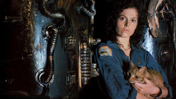 quirkbooks's tweet photo. Forget what you've heard. #Jonesy the cat is the true hero of #Alien, not Ripley. 😼 #QuirkCatWeek https://t.co/COihjXJ4un https://t.co/PmJN8tpH1y