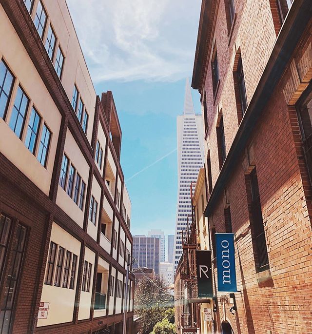monoagency's tweet photo. The mono SF office has all the feels. 👌🏼
•
•
•
#sanfrancisco #sanfranciscoca #advertisingagency #greatworkenvironment #monoagency #views #cityview #alleyways https://t.co/rC2wTISccJ https://t.co/8o75QSZHZ7
