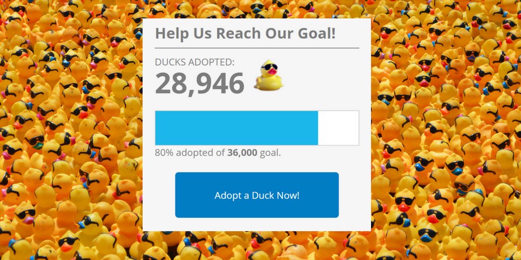 EllipsisIowa's tweet photo. Two days and 7,000 ducks left!! It's time to rally #TeamYESS. Can you help us reach our goal so kids can find safety at YESS? Even a $5 donation makes a difference. Go to https://t.co/MoHFMHAN67 to #AdoptADuck and #HelpAChild https://t.co/leHYVxlyiT